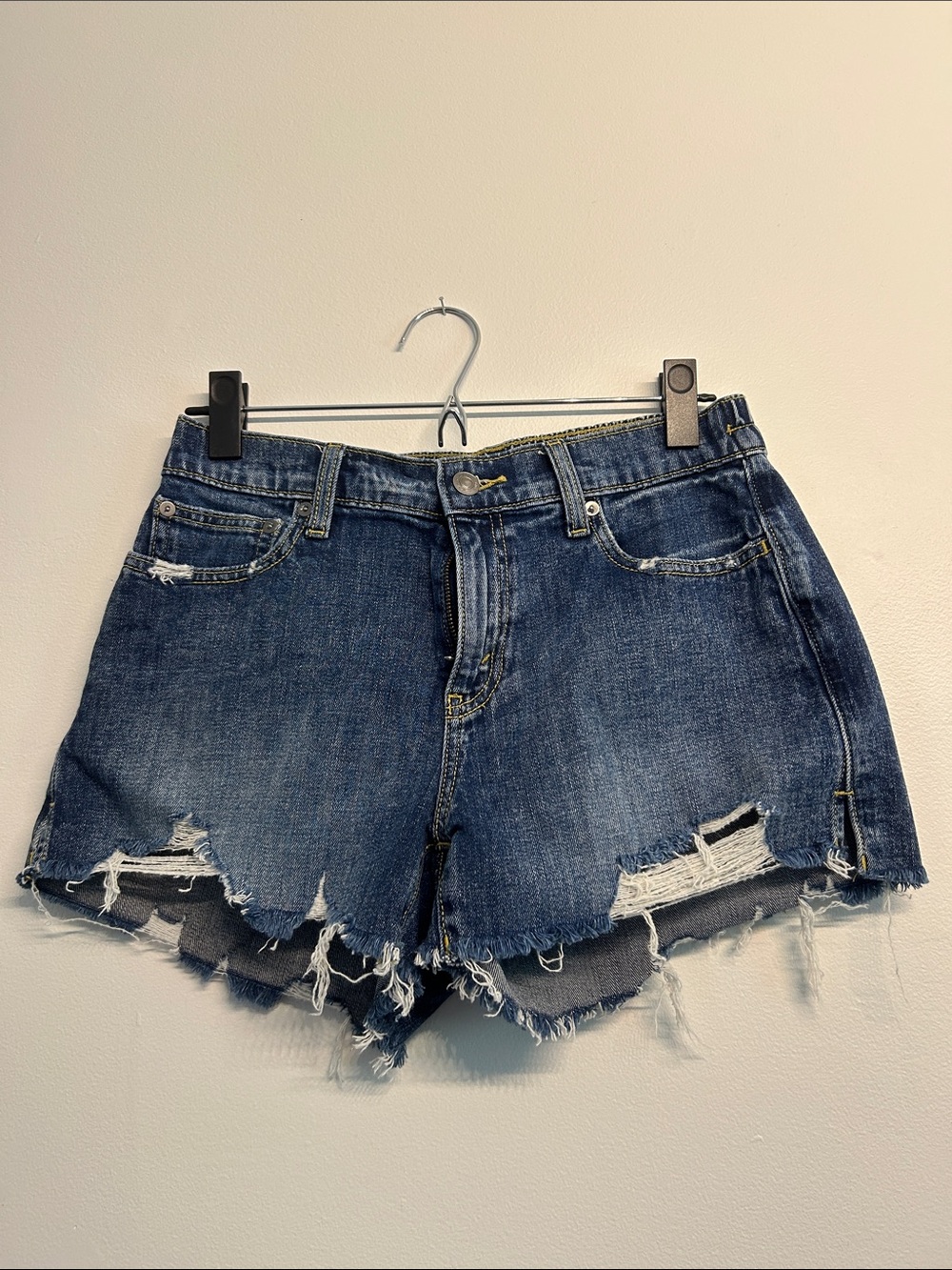 Aerie Dream Shorts